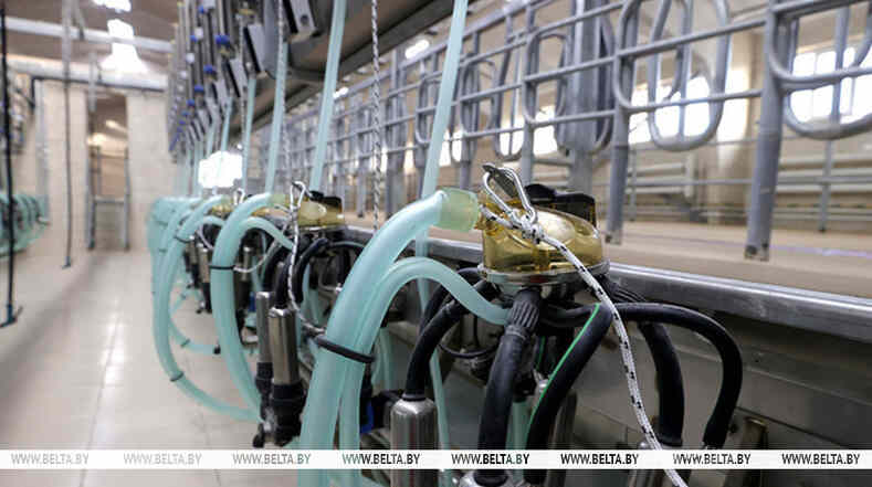 Модернизация организаций АПК в системе Управделами Президента РБ